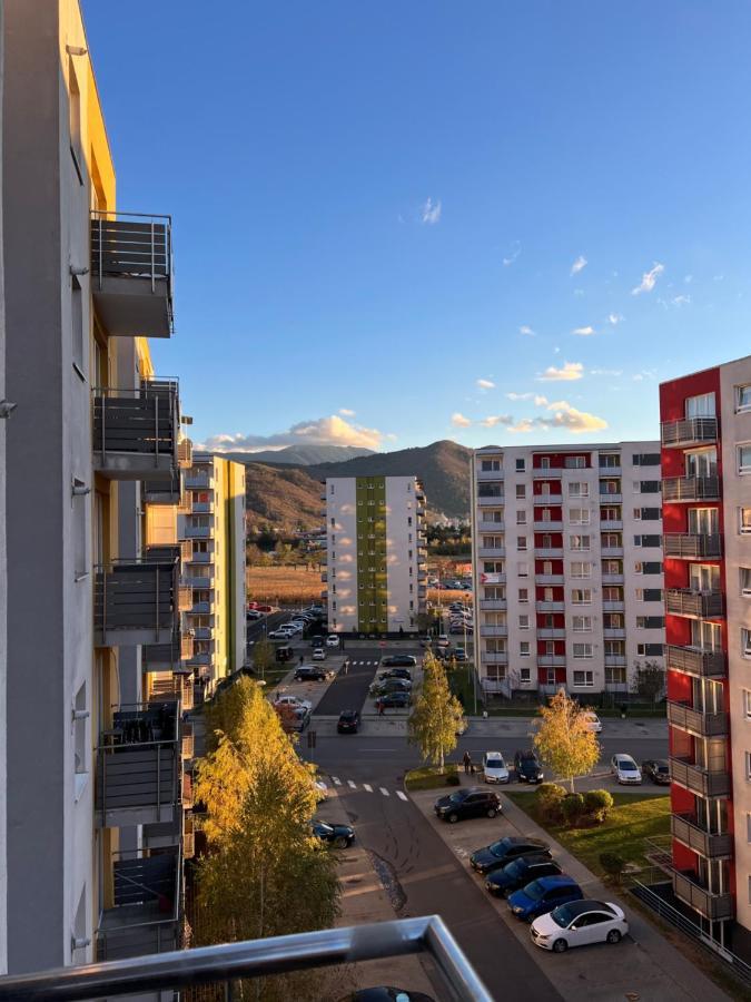 Moncler Family Apartment Брашов Екстериор снимка